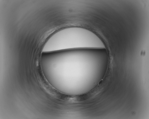 X0000110730068200906121320