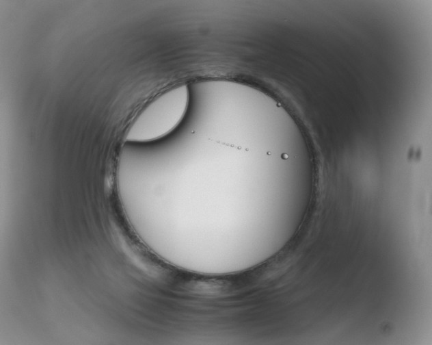 X0000110730069200906121320