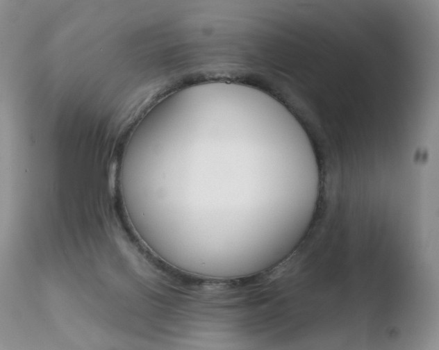 X0000110730070200906121320