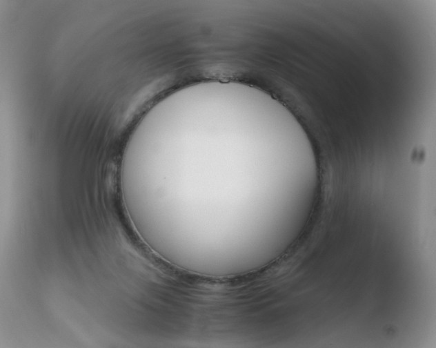 X0000110730071200906121320