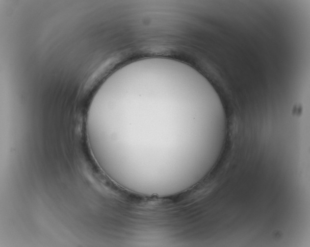 X0000110730072200906121320