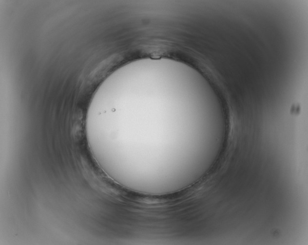 X0000110730073200906121320