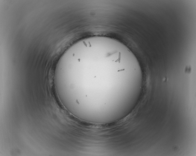 X0000110730074200906121320