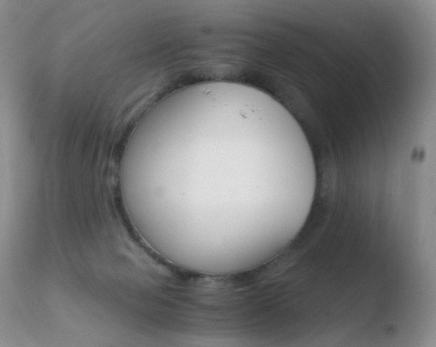 X0000110730077200906121320