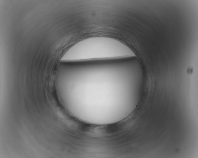 X0000110730078200906121320