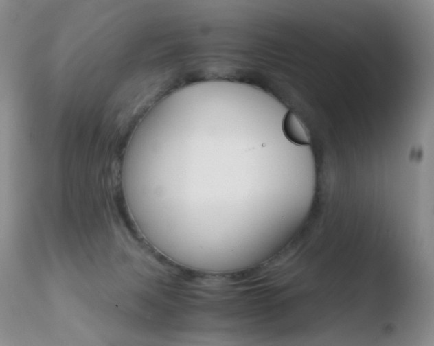 X0000110730079200906121320