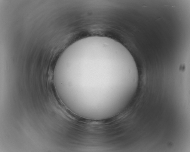 X0000110730081200906121320