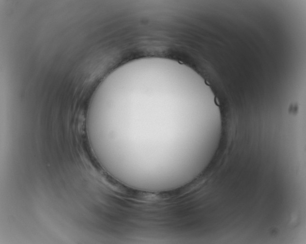 X0000110730083200906121320