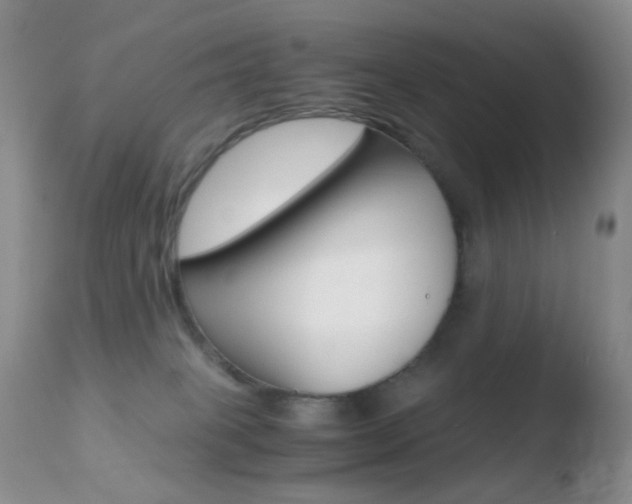 X0000110730085200906121320