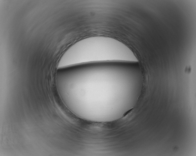 X0000110730086200906121320