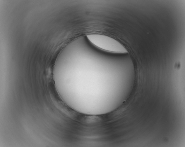 X0000110730087200906121320