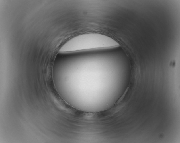 X0000110730088200906121320