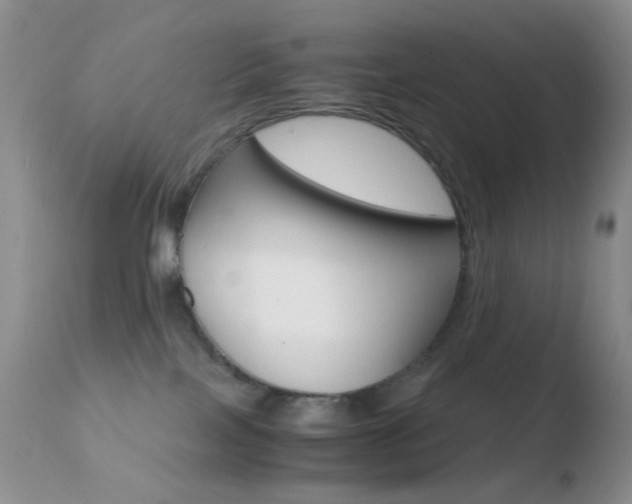 X0000110730089200906121320