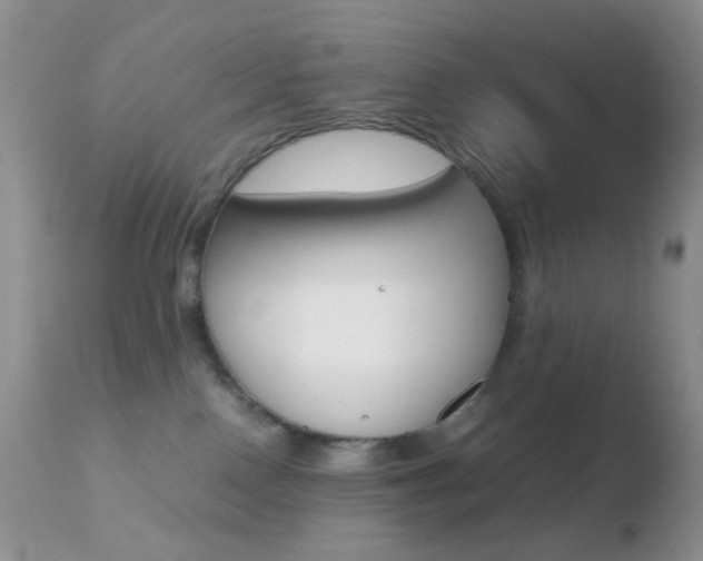 X0000110730090200906121320