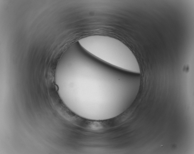 X0000110730091200906121320