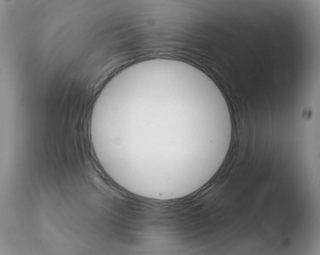X0000110730092200906121320