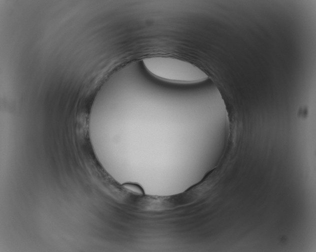 X0000110730093200906121320