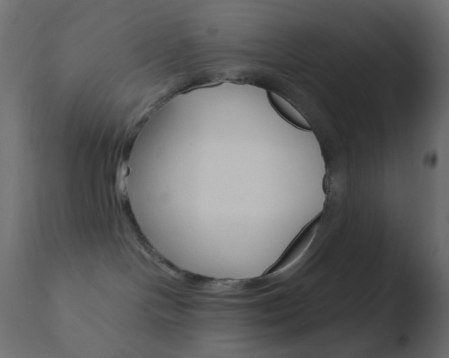 X0000110730094200906121320