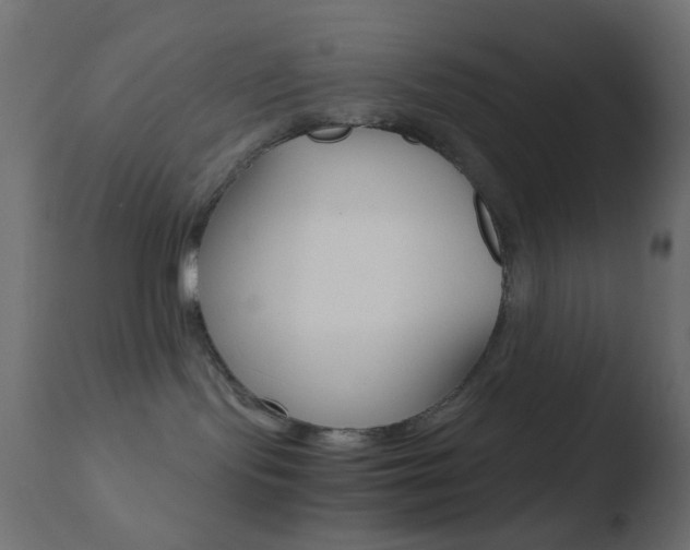X0000110730095200906121320