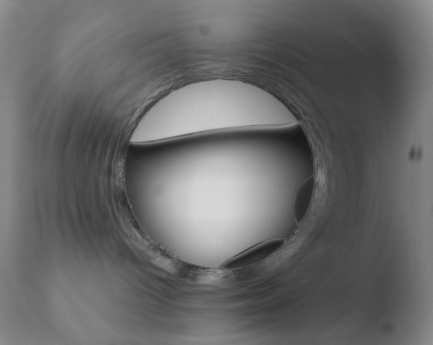 X0000110730096200906121320