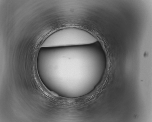 X0000110730097200906121320