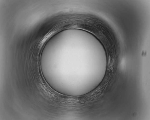 X0000110730099200906121320