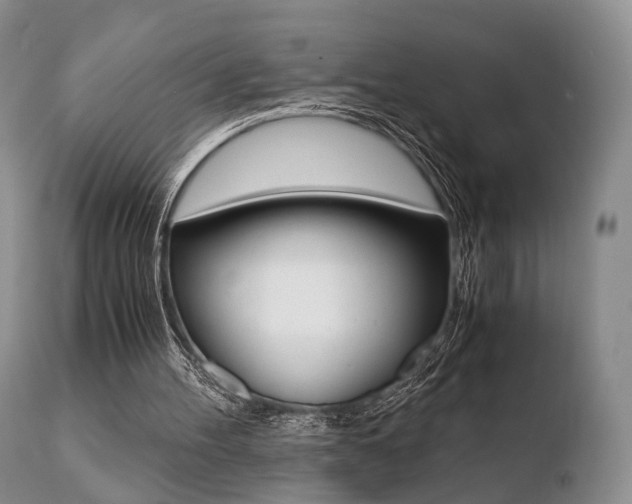 X0000110730100200906121320