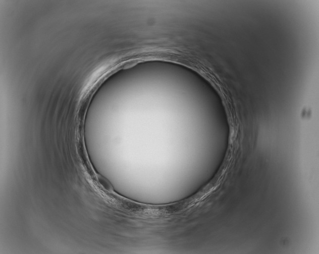 X0000110730101200906121320