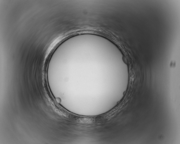 X0000110730102200906121320