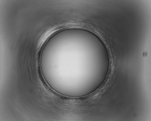X0000110730103200906121320