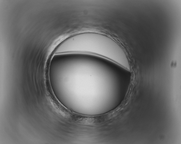 X0000110730104200906121320