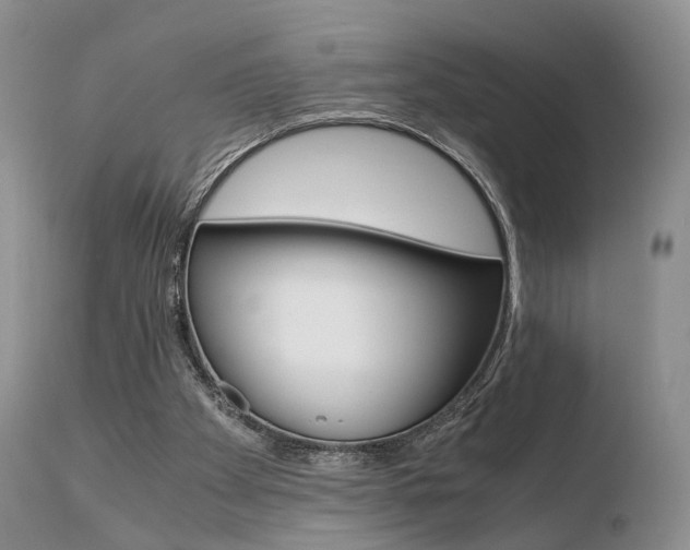 X0000110730105200906121320