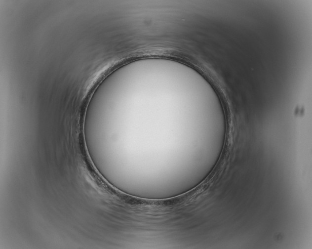 X0000110730107200906121320