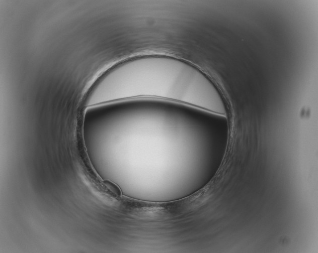 X0000110730108200906121320