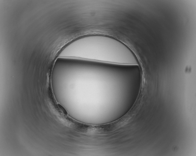 X0000110730109200906121320