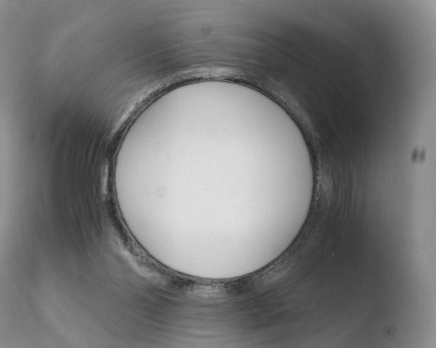 X0000110730110200906121319