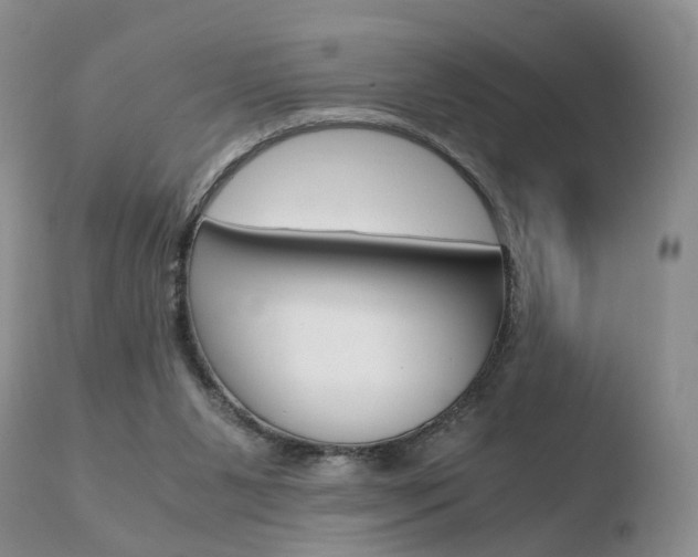 X0000110730111200906121319