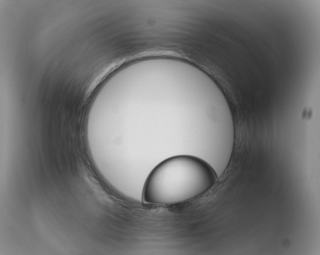 X0000110730112200906121319