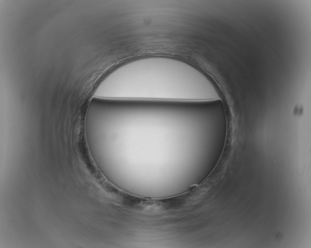 X0000110730113200906121319