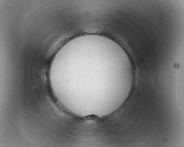 X0000110730114200906121319