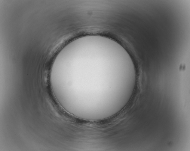 X0000110730115200906121319