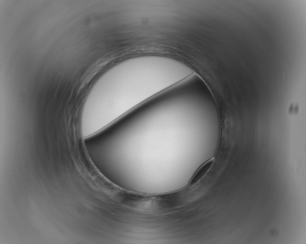 X0000110730116200906121319