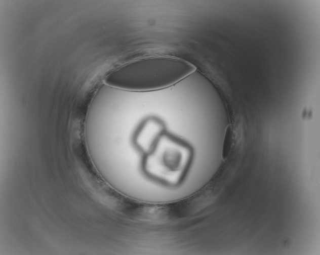 X0000110730117200906121319