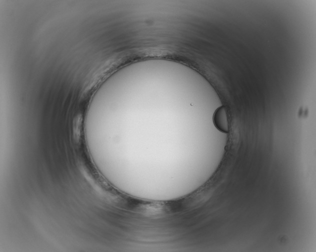 X0000110730118200906121319
