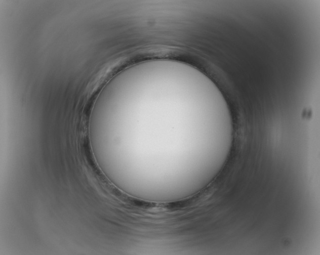 X0000110730119200906121319