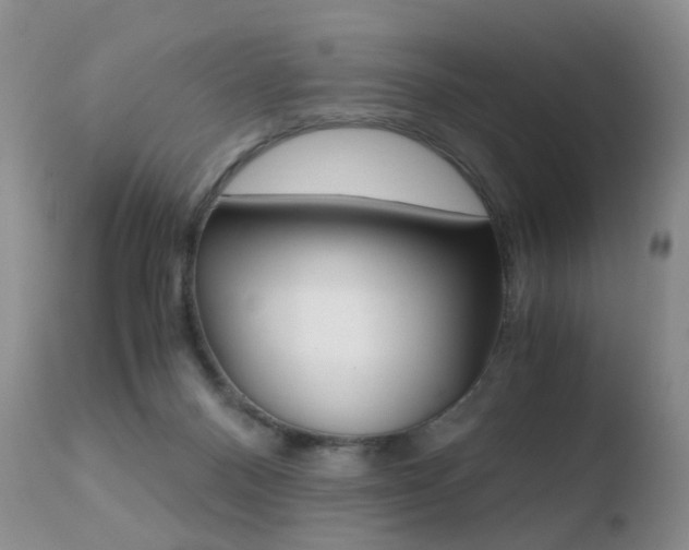 X0000110730120200906121319
