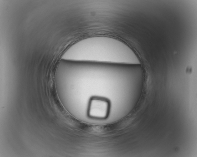 X0000110730121200906121319