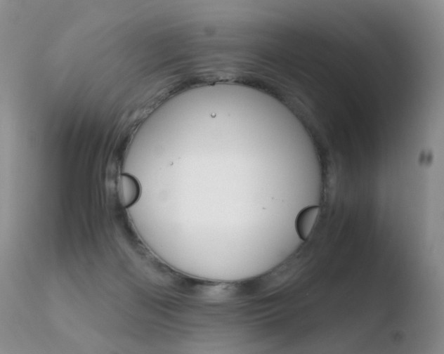 X0000110730122200906121319