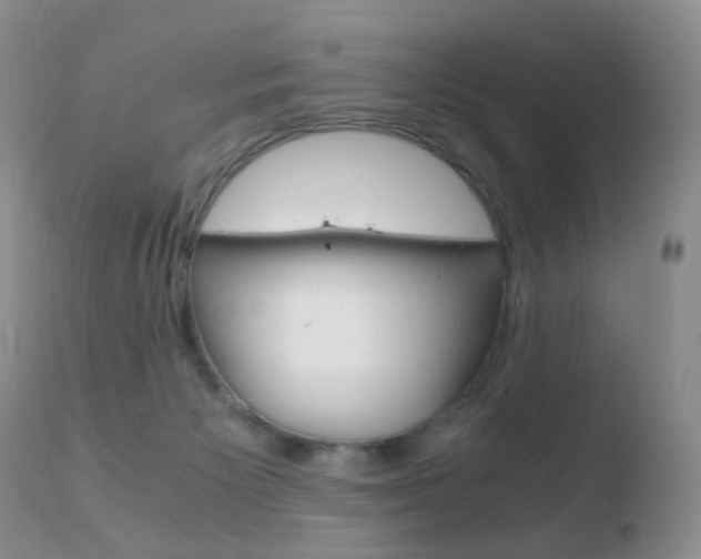 X0000110730125200906121319