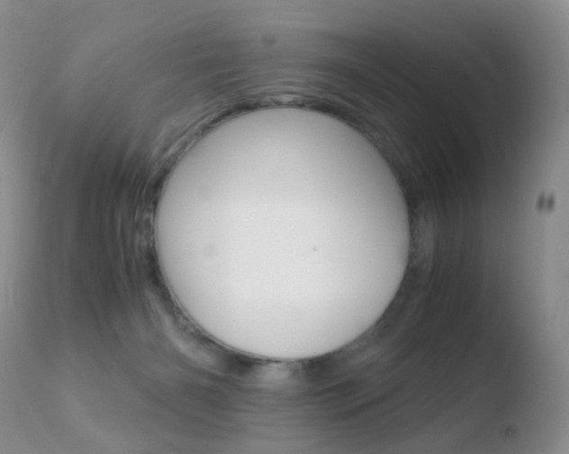 X0000110730126200906121319